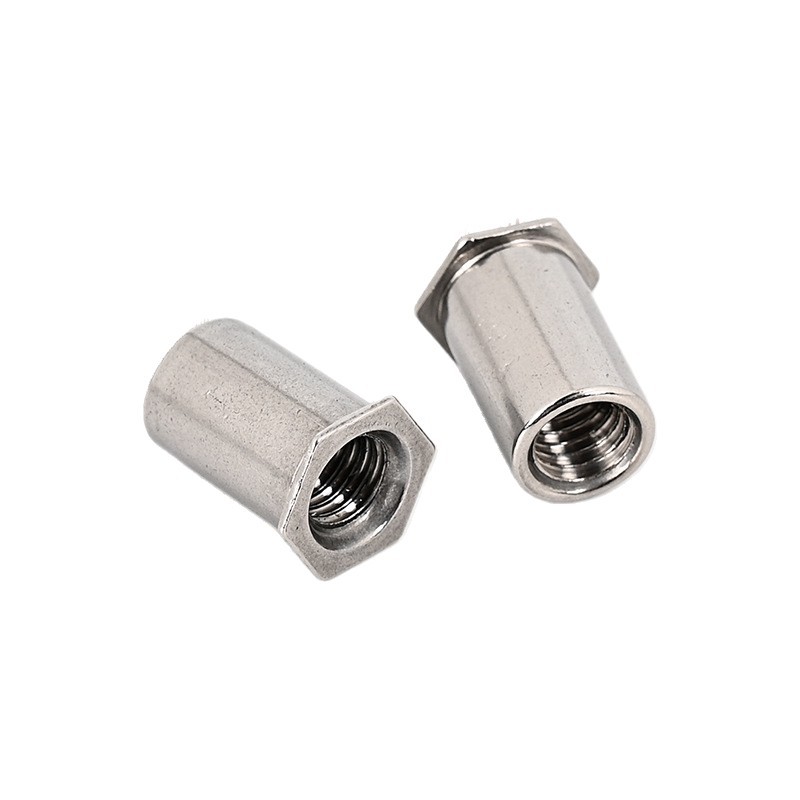 Customized Through Hole Hexagonal Rivet Nut