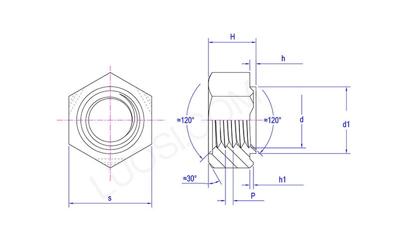 Hex Weld Nuts