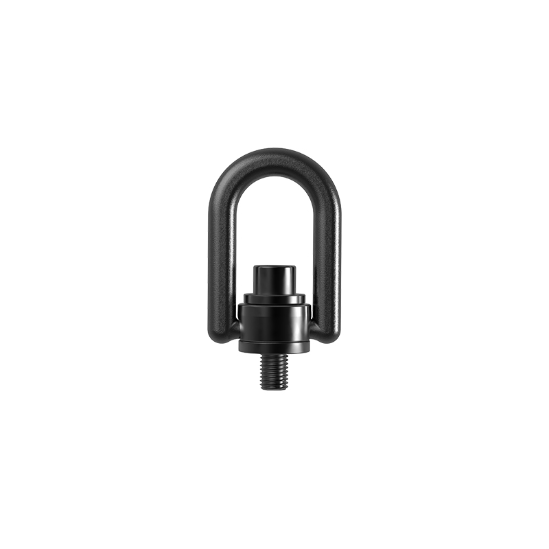 Cincin hoist putar
